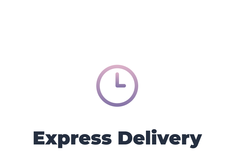 Express Delivery